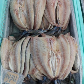 Fish Preprocessing 02