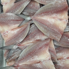 Fish Preprocessing 03