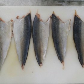 Fish Preprocessing 01